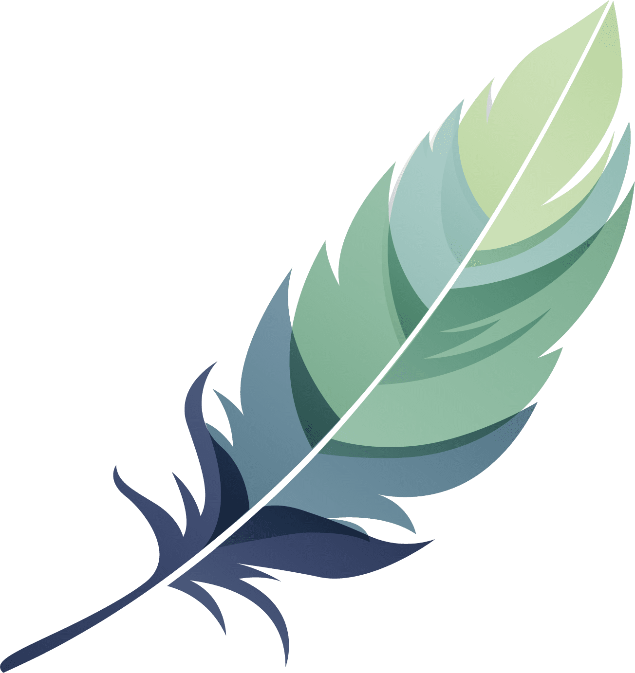 feather3