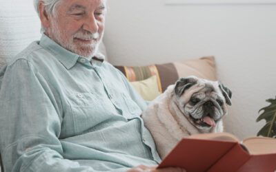 Best Dog Breeds for Seniors