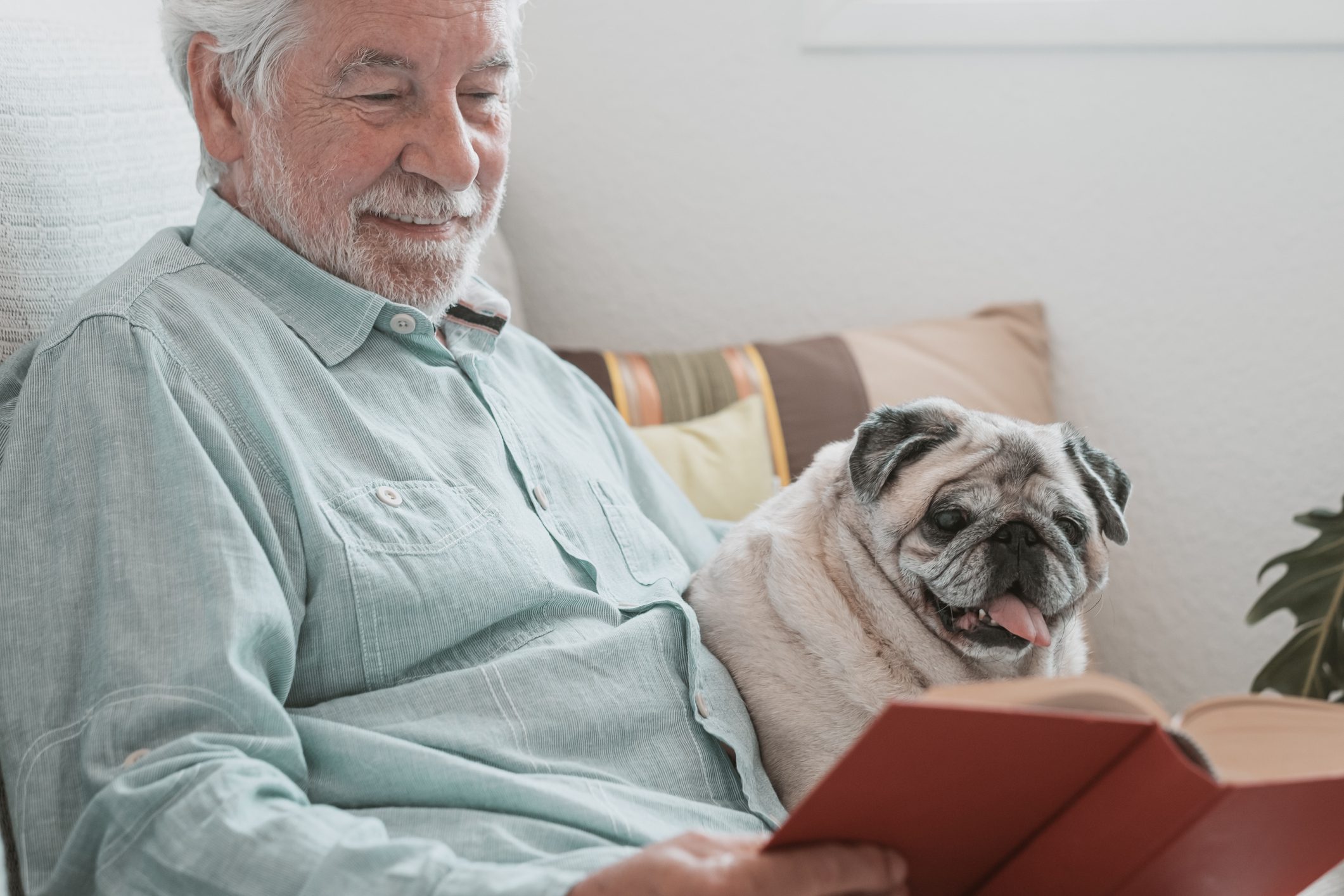 An older adult sits with his pug on a couch and reads a book