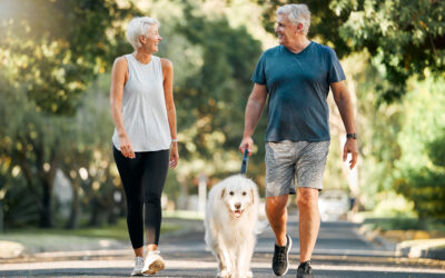 Pet-Friendly Senior Living: What to Know Before You Move