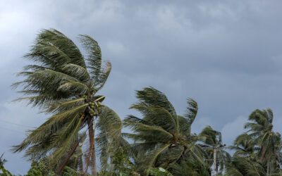 Preparing for Hurricane Season: A Senior’s Guide to Staying Safe and Ready